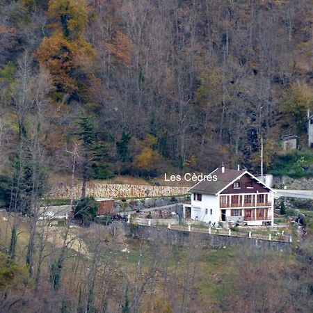 Les Cedres Apartment Ax-les-Thermes Exterior foto